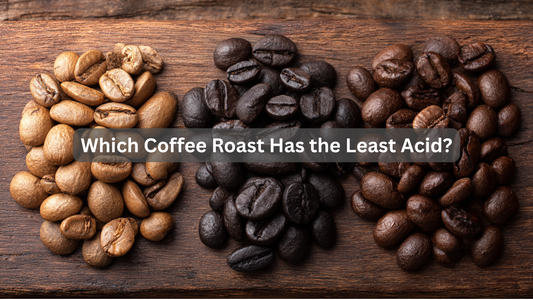 light medium and dark roasted beans