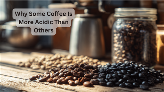 light and dark coffee beans