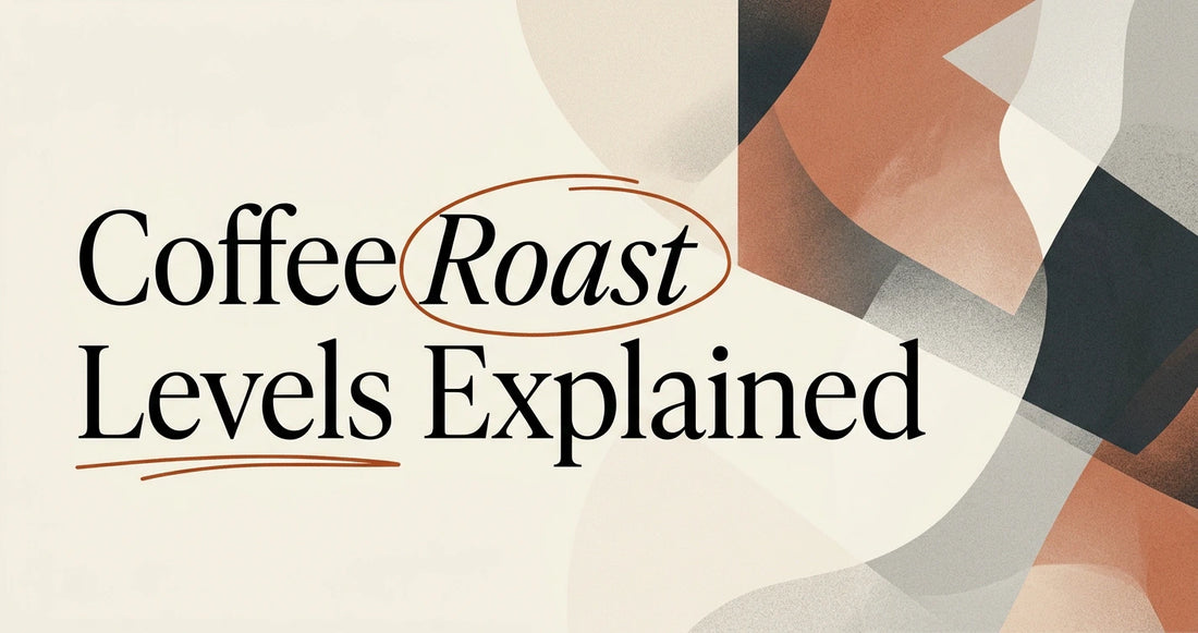 Coffee Roast Levels Explained: Light, Medium & Dark