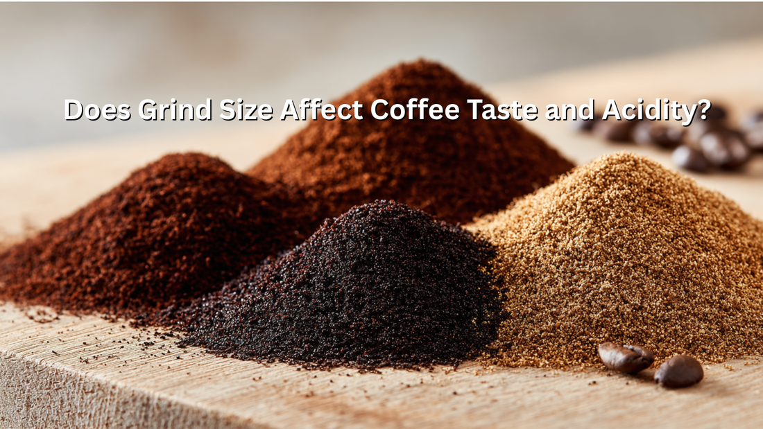 Does Grind Size Affect Coffee Taste and Acidity?