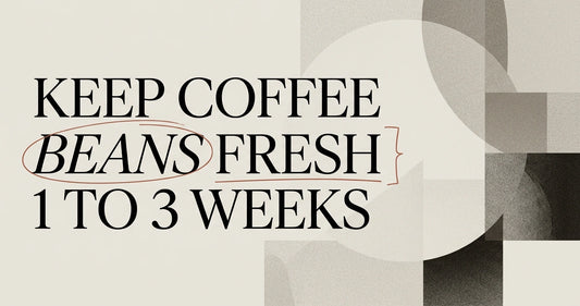 How to Store Coffee Beans to Keep Them Fresh
