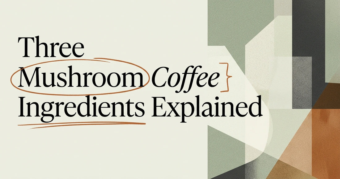 Lion's Mane, Chaga & Reishi: Mushroom Coffee Ingredients