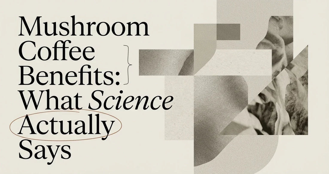 Mushroom Coffee Benefits: What the Science Actually Says